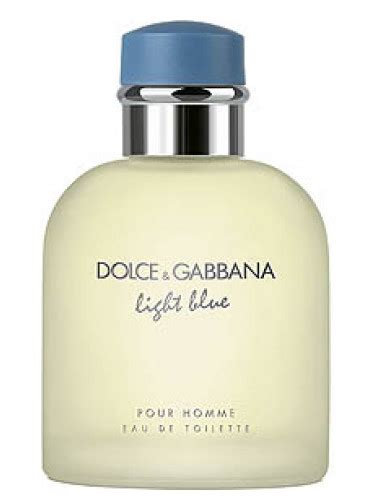 yodeymauomo light blue dolce gabbana|dolce gabbana light blue cologne.